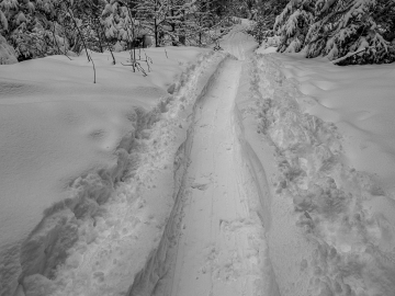 die erste richtige Spur der Saison