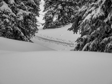 so muss das aussehen! 