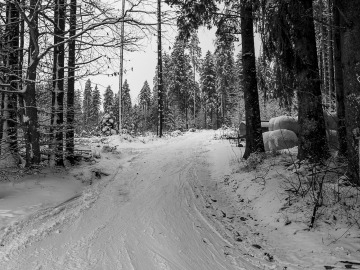 ...bis zum Parkplatz