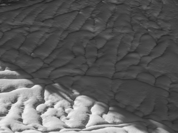 Spuren des Regens...