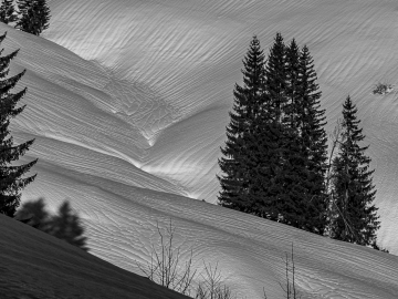 Spuren des Regens...