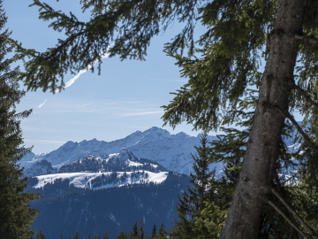 Loferer Alm und Loferer Steinberge