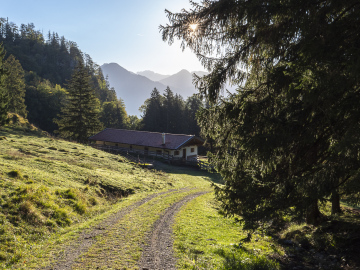 an der Heinzenalm