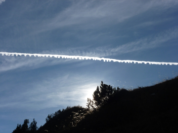 der Sonne entgegen