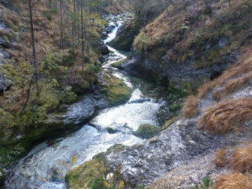 in der Weißbachschlucht