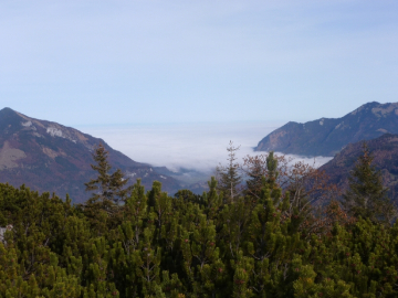 Nebel in der Heimat