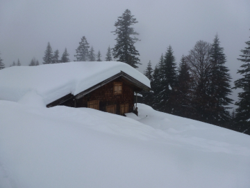 Schnee hat\'s genug, aber die Qualität...