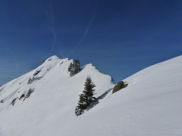 Wechte Weißkopfkogel