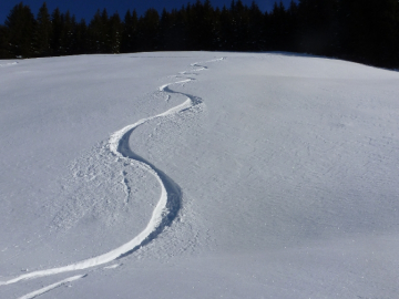 einsame Spuren I