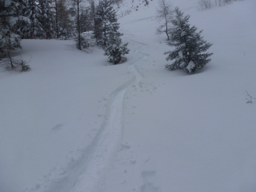 komischer Powder II