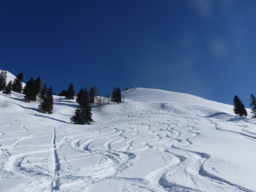 ...aber jede Menge Abfahrtsspuren von Freeridern, die aus dem Skigebiet herüberqueren