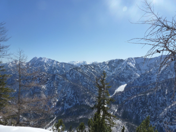 Blick Richtung Sonntags- und Wildalphorn, im Hintergrund die Reiteralm