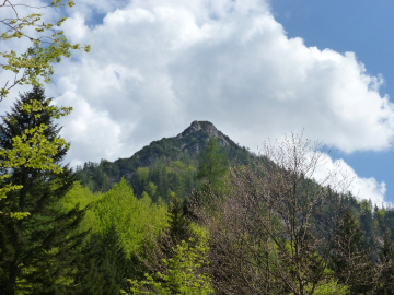 das Ziel