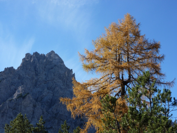 Herbst