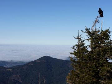 zäher Nebel im Tal