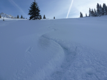 Abfahrt Peitingköpfl