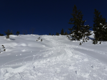 der Powww wird schwerer...