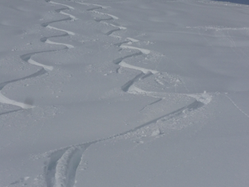 ein paar Schwünge im Pulver