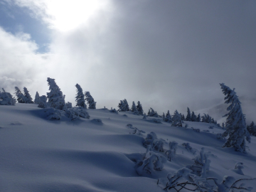 da kam der Wind wohl von rechts...