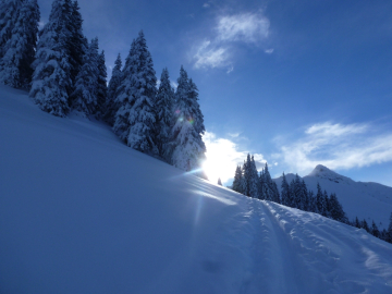 endlich in der Sonne