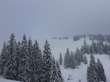 unverspurte Tristmahlnschneid