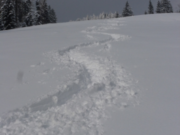 in der Sonne wird der Pulverschnee schon schwerer