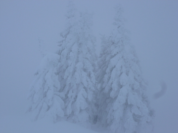 tiiiiiiiiiefster Winter