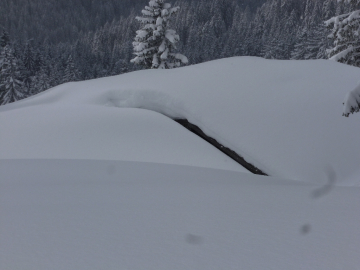 Suchbild: Wo ist die Schreckalm?