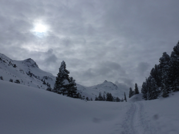 kurz vor der Neuen Bamberger Hütte, im Hintergrund der formschöne Tristkopf