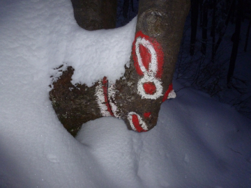 furcheinflößendes Getier am Wegesrand