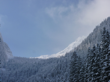 das Ziel in der Bildmitte