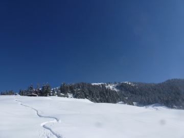 an der Scheibenschlag-Nierderalm