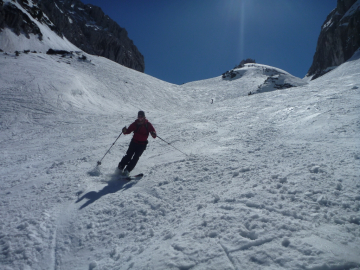 firnig
