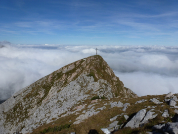 Rückblick zur Tagweide