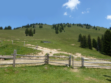 Blick zur Haaralmschneid
