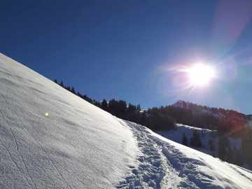 der Sonne entgegen