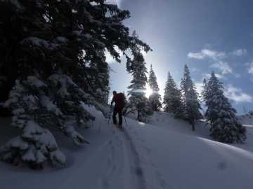 Winterwonderland