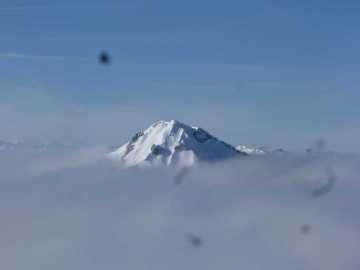 Hochgern