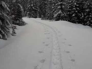 sieht aus wie echter Winter!