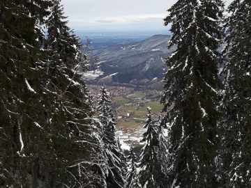 Blick in den Frühling
