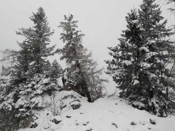 und doch wieder hier :-)