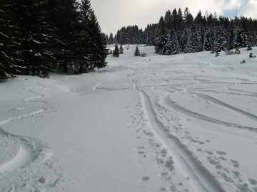 immer noch Pulver