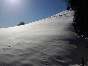 tiefster Winter