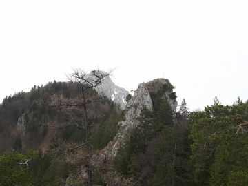 der Fuderheuberg mit dem Hochstaufen im Hintergrund