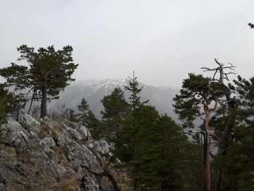 getrübter Blick zum Untersberg