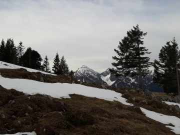 Sonntagshorn