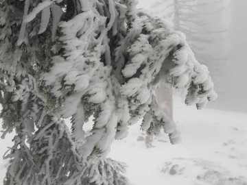 wieder richtig Winter