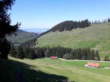 Gleichenbergalmen und Chiemsee