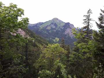 Blick hinüber zum Hochgern