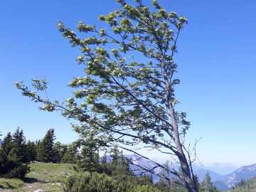 wo ist wohl die Wetterseite?